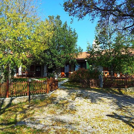 Villa Terra Del Carso à San Pelagio Extérieur photo
