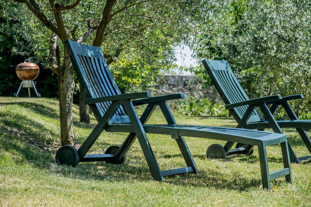 Villa Terra Del Carso à San Pelagio Extérieur photo