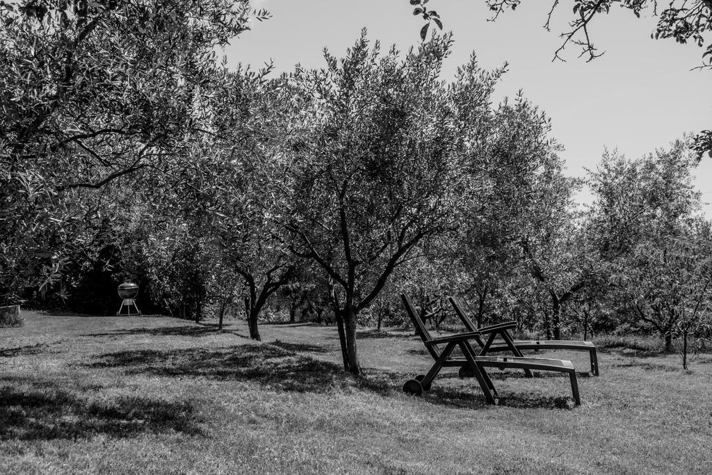 Villa Terra Del Carso à San Pelagio Extérieur photo
