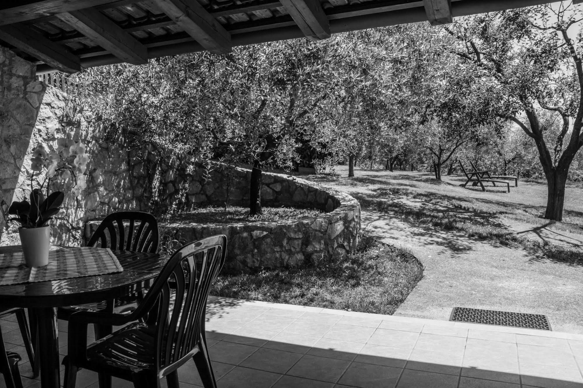 Villa Terra Del Carso à San Pelagio Extérieur photo